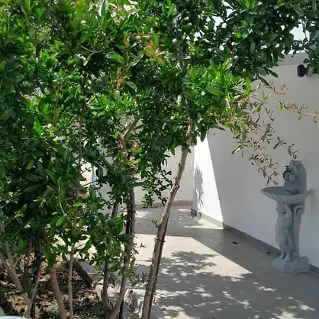 فيلة K & N